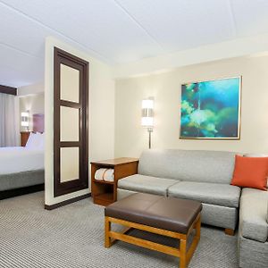 King Room Sofa Bed